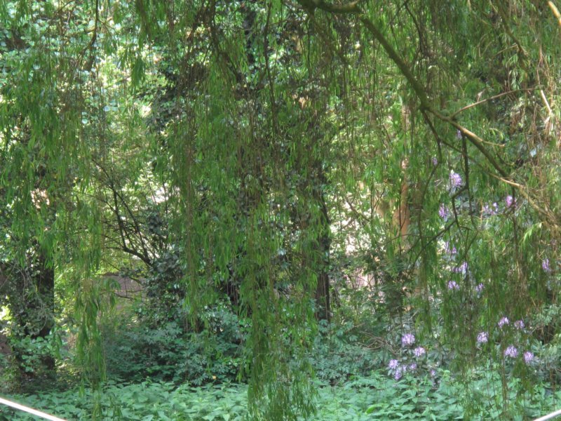 tilburglente10mei115.jpg