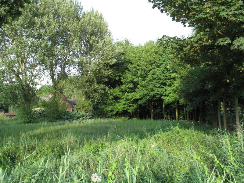 wilhelminakanaalbijavond14juli09.jpg
